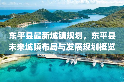 東平縣最新城鎮(zhèn)規(guī)劃，東平縣未來城鎮(zhèn)布局與發(fā)展規(guī)劃概覽