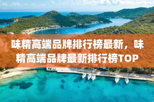 味精高端品牌排行榜最新，味精高端品牌最新排行榜TOP