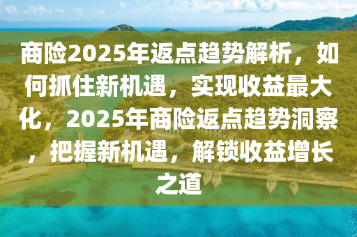 商險(xiǎn)2025年返點(diǎn)趨勢(shì)解析，如何抓住新機(jī)遇，實(shí)現(xiàn)收益最大化，2025年商險(xiǎn)返點(diǎn)趨勢(shì)洞察，把握新機(jī)遇，解鎖收益增長(zhǎng)之道