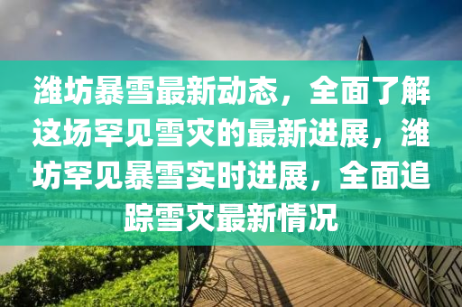 濰坊暴雪最新動態(tài)，全面了解這場罕見雪災的最新進展，濰坊罕見暴雪實時進展，全面追蹤雪災最新情況