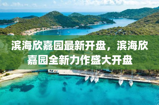 濱海欣嘉園最新開盤，濱海欣嘉園全新力作盛大開盤