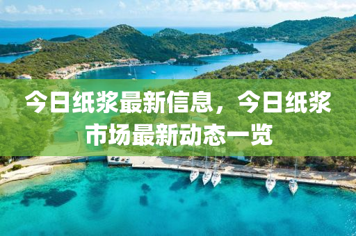 今日紙漿最新信息，今日紙漿市場最新動態(tài)一覽