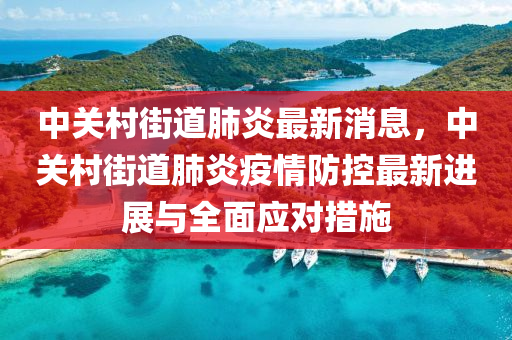 中關(guān)村街道肺炎最新消息，中關(guān)村街道肺炎疫情防控最新進(jìn)展與全面應(yīng)對(duì)措施