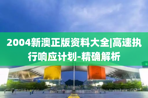 2004新澳正版資料大全