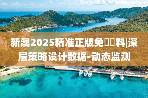 新澳2025精準(zhǔn)正版免費資料|深層策略設(shè)計數(shù)據(jù)-動態(tài)監(jiān)測