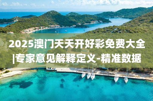 2025澳門(mén)天天開(kāi)好彩免費(fèi)大全|專(zhuān)家意見(jiàn)解釋定義-精準(zhǔn)數(shù)據(jù)