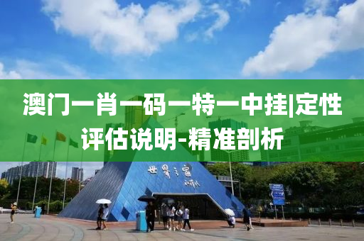 澳門一肖一碼一特一中掛|定性評(píng)估說明-精準(zhǔn)剖析