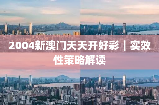 2004新澳門天天開好彩｜實效性策略解讀