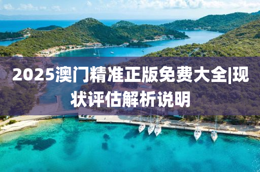 2025澳門精準(zhǔn)正版免費大全|現(xiàn)狀評估解析說明
