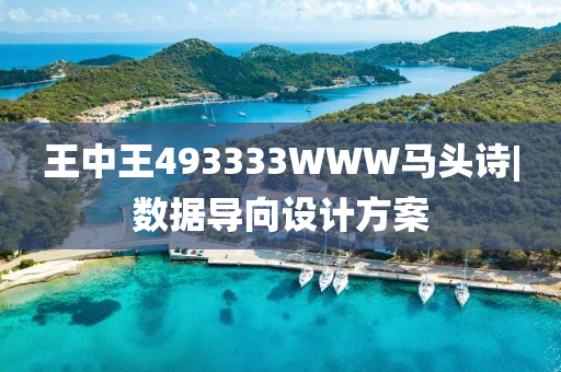 王中王493333WWW馬頭詩|數(shù)據(jù)導(dǎo)向設(shè)計方案