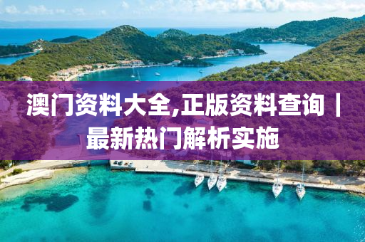 澳門資料大全,正版資料查詢｜最新熱門解析實施