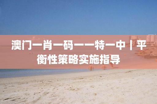 澳門一肖一碼一一特一中｜平衡性策略實施指導(dǎo)