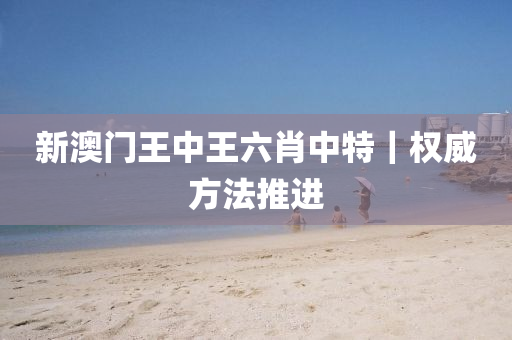 新澳門王中王六肖中特｜權(quán)威方法推進(jìn)