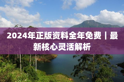 2024年正版資料全年免費｜最新核心靈活解析