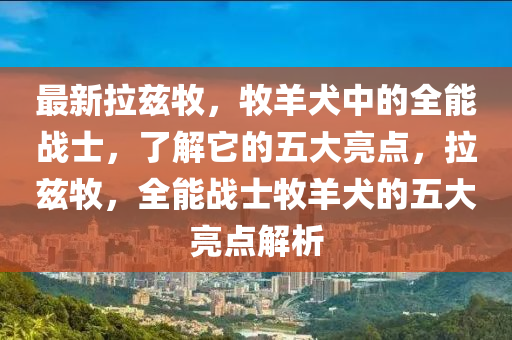 最新拉茲牧，牧羊犬中的全能戰(zhàn)士，了解它的五大亮點(diǎn)，拉茲牧，全能戰(zhàn)士牧羊犬的五大亮點(diǎn)解析