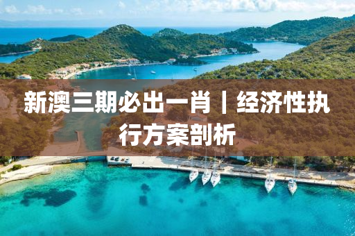 新澳三期必出一肖｜經(jīng)濟(jì)性執(zhí)行方案剖析