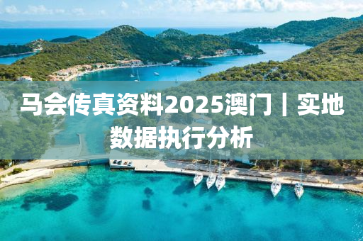 馬會傳真資料2025澳門｜實地數(shù)據(jù)執(zhí)行分析