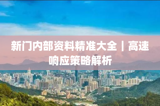 新門內部資料精準大全｜高速響應策略解析