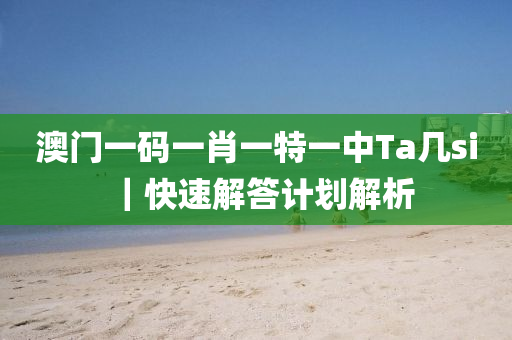 澳門一碼一肖一特一中Ta幾si｜快速解答計劃解析