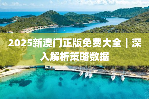 2025新澳門正版免費(fèi)大全｜深入解析策略數(shù)據(jù)