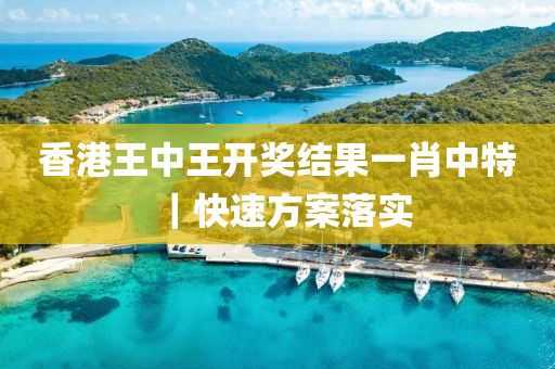 香港王中王開獎(jiǎng)結(jié)果一肖中特｜快速方案落實(shí)