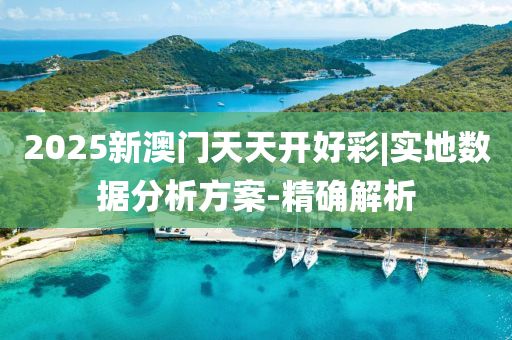 2025新澳門天天開好彩|實(shí)地?cái)?shù)據(jù)分析方案-精確解析