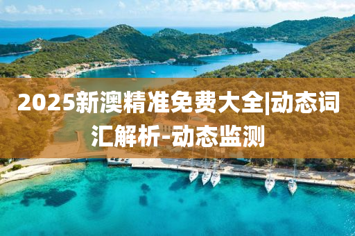 2025新澳精準(zhǔn)免費(fèi)大全|動態(tài)詞匯解析-動態(tài)監(jiān)測