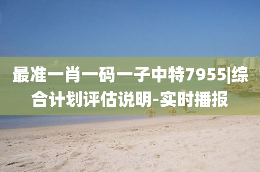 最準(zhǔn)一肖一碼一子中特7955|綜合計劃評估說明-實時播報