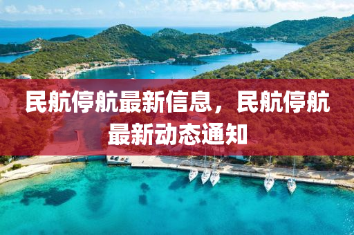 民航停航最新信息，民航停航最新動(dòng)態(tài)通知