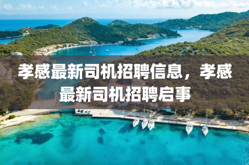 孝感最新司機(jī)招聘信息，孝感最新司機(jī)招聘啟事