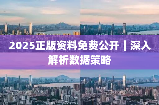 2025正版資料免費(fèi)公開｜深入解析數(shù)據(jù)策略