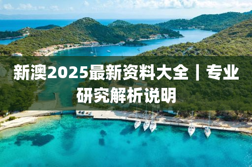 新澳2025最新資料大全｜專(zhuān)業(yè)研究解析說(shuō)明
