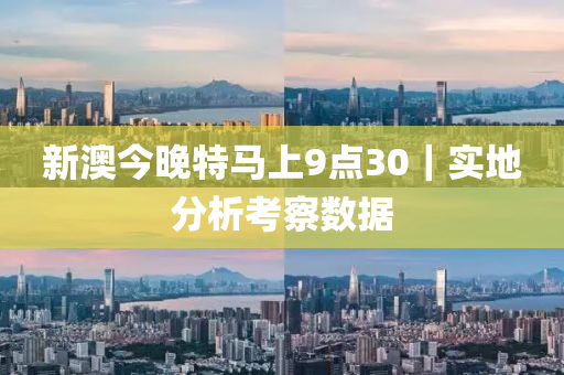 新澳今晚特馬上9點(diǎn)30｜實(shí)地分析考察數(shù)據(jù)
