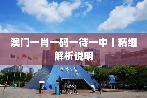 澳門一肖一碼一待一中｜精細(xì)解析說明