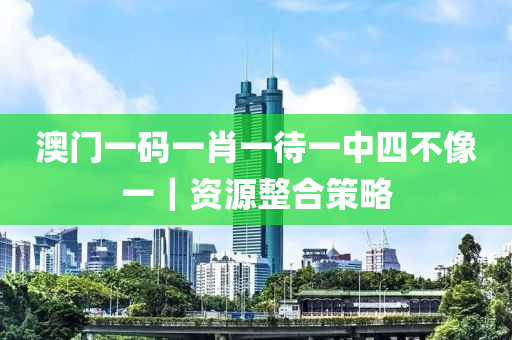 澳門一碼一肖一待一中四不像一｜資源整合策略