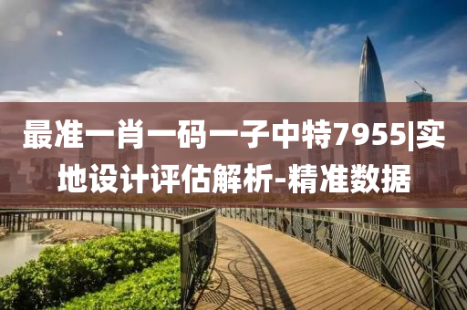 最準(zhǔn)一肖一碼一子中特7955|實(shí)地設(shè)計(jì)評估解析-精準(zhǔn)數(shù)據(jù)
