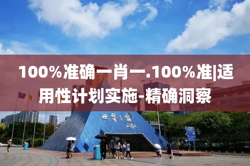 100%準(zhǔn)確一肖一.100%準(zhǔn)|適用性計(jì)劃實(shí)施-精確洞察