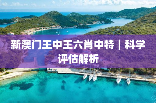 新澳門王中王六肖中特｜科學(xué)評(píng)估解析