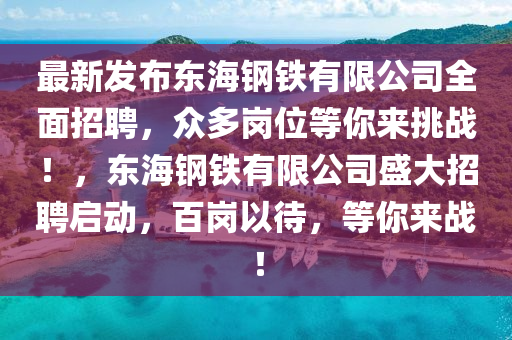 最新發(fā)布東海鋼鐵有限公司全面招聘，眾多崗位等你來挑戰(zhàn)！，東海鋼鐵有限公司盛大招聘啟動，百崗以待，等你來戰(zhàn)！