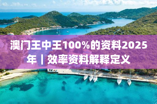 澳門(mén)王中王100%的資料2025年｜效率資料解釋定義