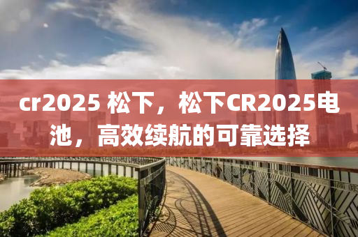 cr2025 松下，松下CR2025電池，高效續(xù)航的可靠選擇