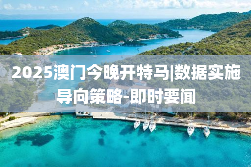 2025澳門今晚開特馬|數(shù)據(jù)實施導(dǎo)向策略-即時要聞
