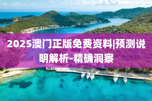 2025澳門正版免費(fèi)資料|預(yù)測說明解析-精確洞察