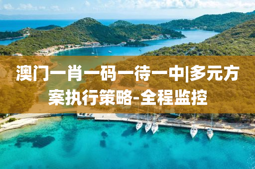 澳門一肖一碼一待一中|多元方案執(zhí)行策略-全程監(jiān)控