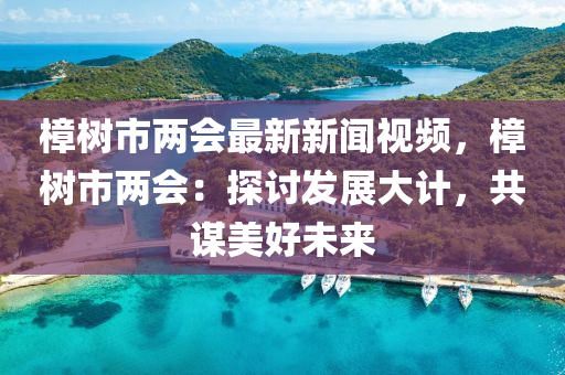 樟樹市兩會(huì)最新新聞視頻，樟樹市兩會(huì)：探討發(fā)展大計(jì)，共謀美好未來