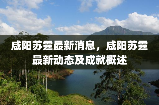 咸陽蘇霆最新消息，咸陽蘇霆最新動態(tài)及成就概述
