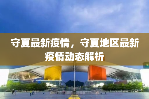 守夏最新疫情，守夏地區(qū)最新疫情動態(tài)解析