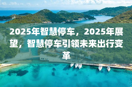 2025年智慧停車，2025年展望，智慧停車引領未來出行變革