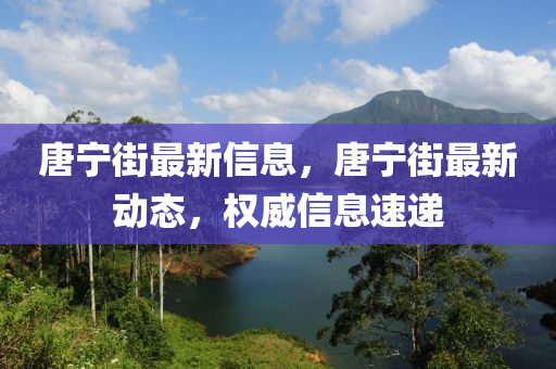 唐寧街最新信息，唐寧街最新動(dòng)態(tài)，權(quán)威信息速遞