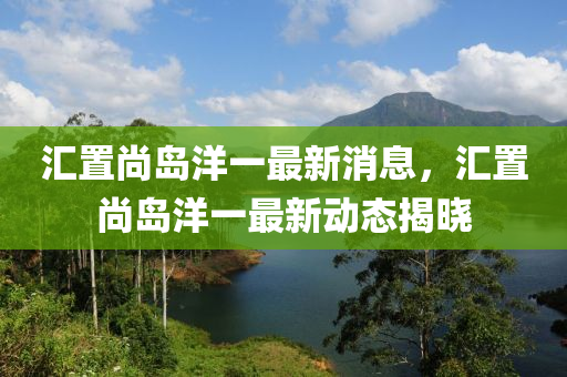 匯置尚島洋一最新消息，匯置尚島洋一最新動(dòng)態(tài)揭曉